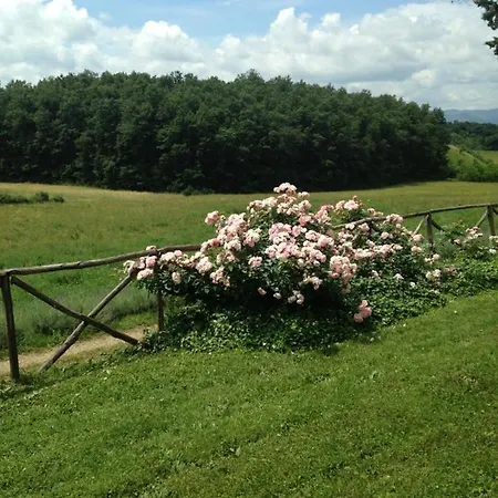 Salceta, A Tuscany Campogialli