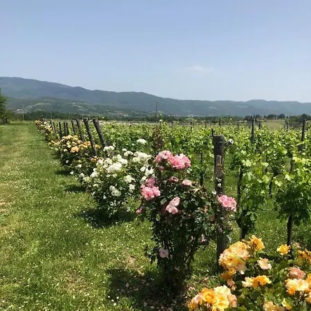 Villa Salceta, A Tuscany *