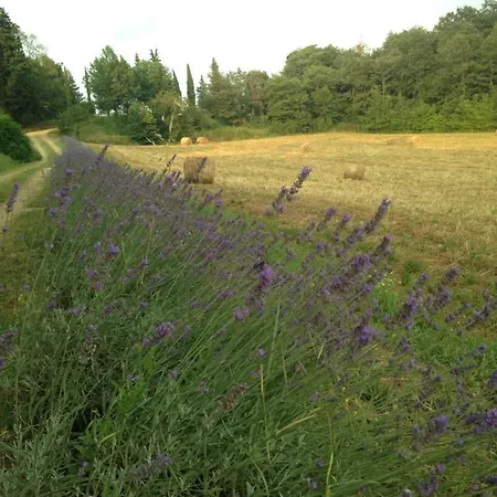 Villa Salceta, A Tuscany *